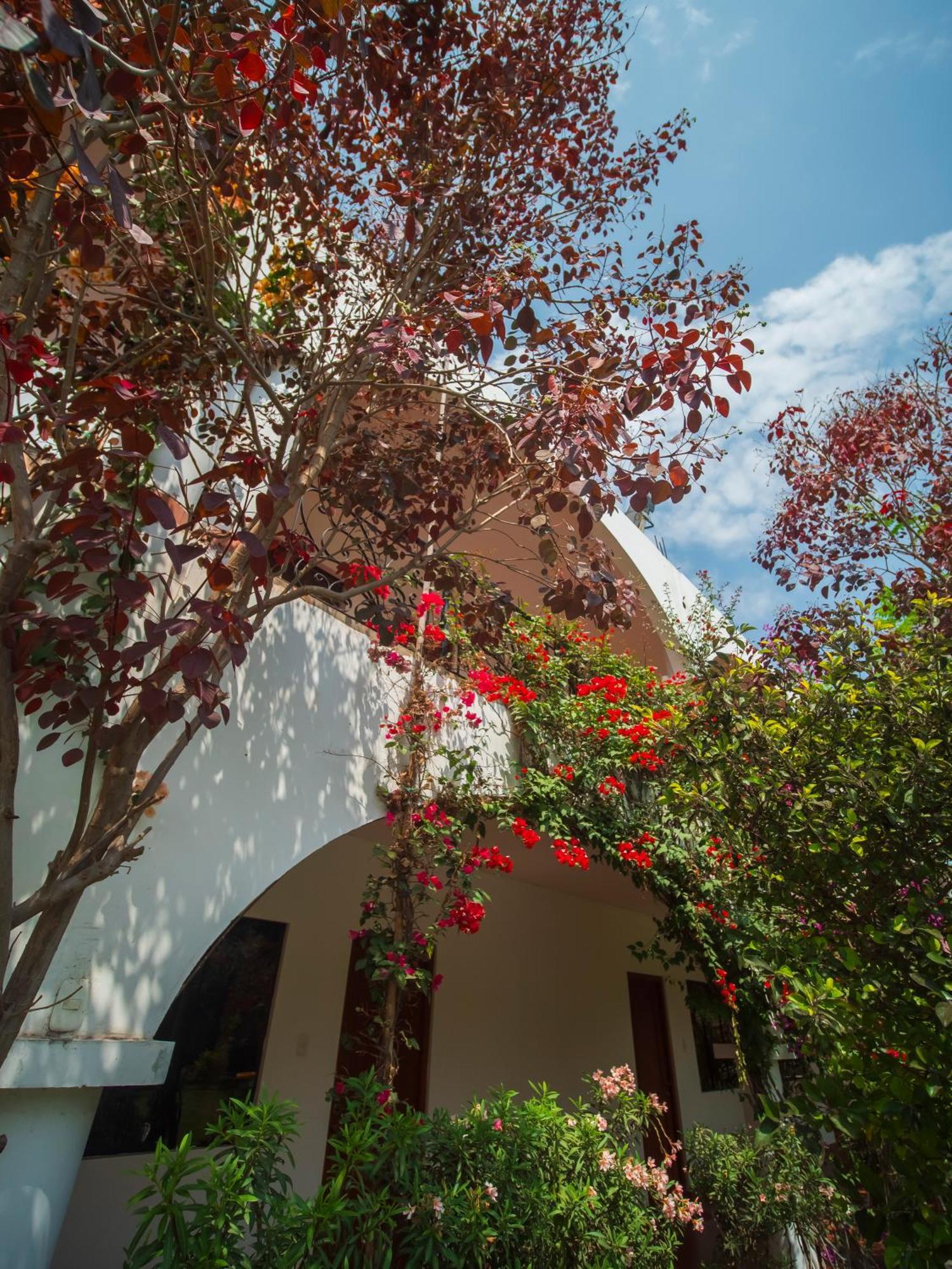 Casa Hotel Mamaluna Лунауана Экстерьер фото